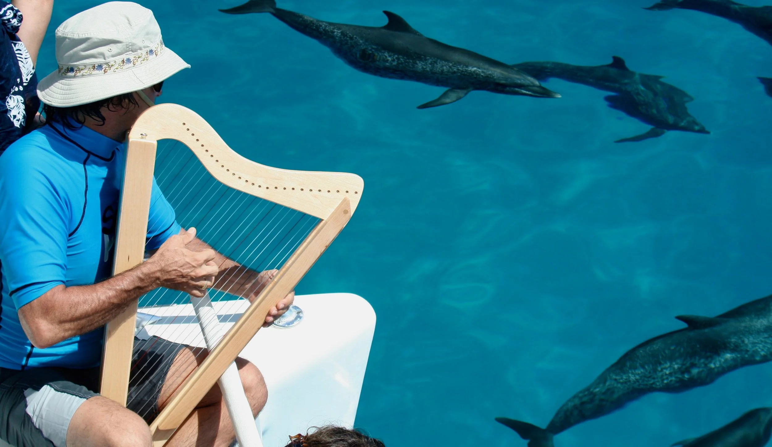 Harpsicle® Harp — Harpsicle® Harps